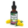 Answer Dandelion Root | Supports Healthy Liver Function | Low