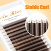 W Eyelash Extensions C Curl 0.07mm 8-15mm Mix Tray Brown