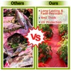 NRWRTY 4 Mil Red Plastic Mulch, 4 X 50 FT