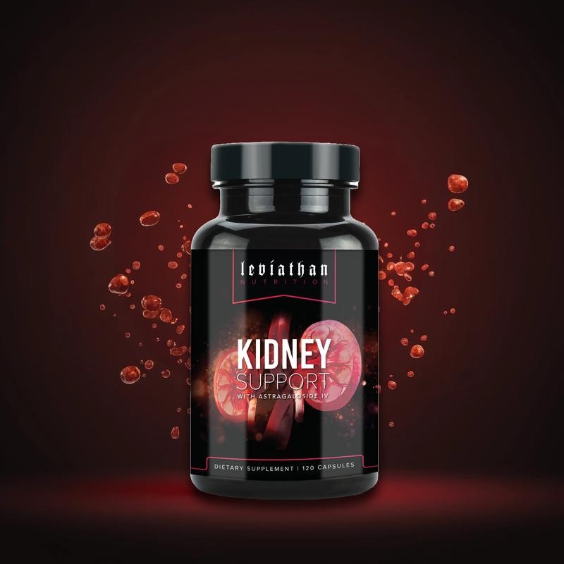 Leviathan Nutrition Kidney Support with Astragaloside IV | Optimal Kidney