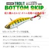 DUEL Hardcore Trout Bottom Skip 40mm – Sinking Lure for