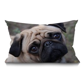 BGBDEIA Pug Dog Cushion Cover Outdoor Linen Pillowcase Funny Cute Pug Dog Face Throw Pillow Cover 30cm X 50cm Hippie Decorative Oblong Lumbar Pillow Case for Livingroom Sofa Bed,30x50cm 12x20 Inch
