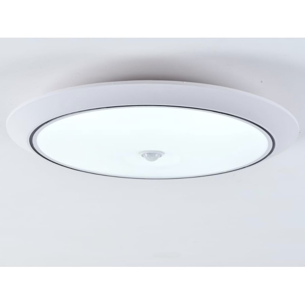 Motion Sensor LED Ceiling Light – 12W Flush Mount Fixture,
