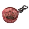 Trixie 13441 Flasher für Hunde und Katzen, ø 2,5 cm,