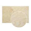 10 Pack | 3mm 1/8th inch Finished Premium Baltic Birch