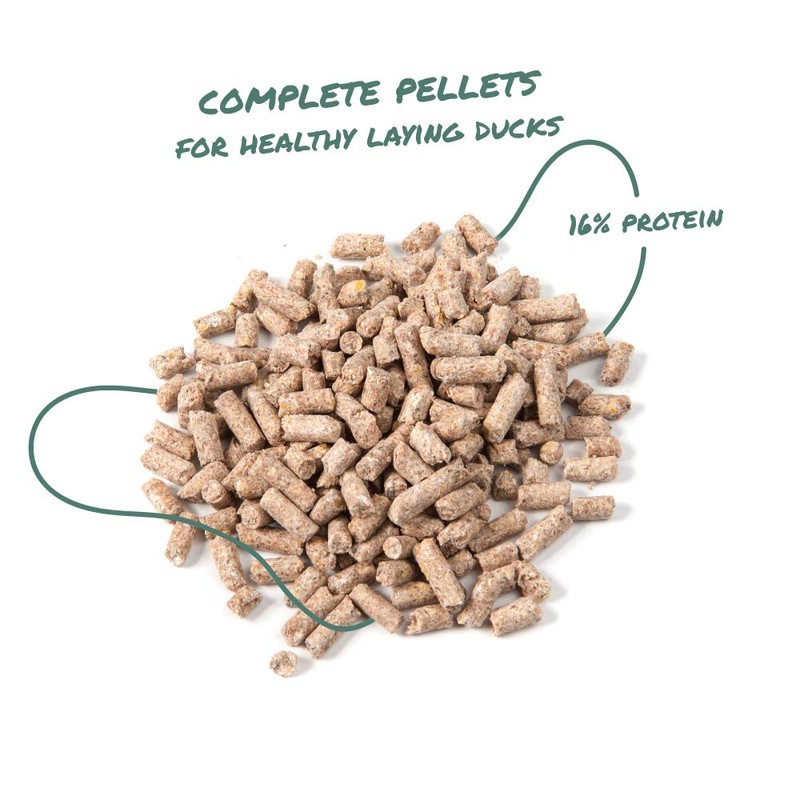 Manna Pro Duck & Goose Layer Pellets, High Protein for