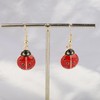 PLITI Ladybug Lover Gift Good Luck Ladybug Gift Red Ladybug