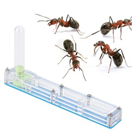 GOTOTOP Ant Farm, Ant Nest Transparent Acrylic Ant Nesting Box, Ant House for Feeding Ants (Blue)