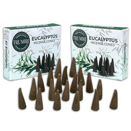 Eucalyptus Incense Cones - Total 20 Cone Incense - Dual Pack of 10 Insence Cones - Incense Cones Scented - Cone Incense Scents - Insense Cones - Incent Cone