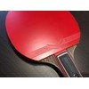 RIZER Legend X-Series Table Tennis Paddle | with Ping Pong
