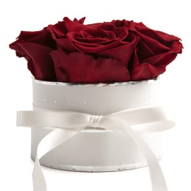 Rosmarie Schulz Heidelberg Rose Box, White Round Infinity Rose, Flower Box Preserved Rose