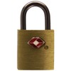 PAVO Premium Aluminium TSA Padlock with 2 Keys 20 mm
