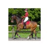 Woof Wear Close Contact Saddle Cloth - Shiraz