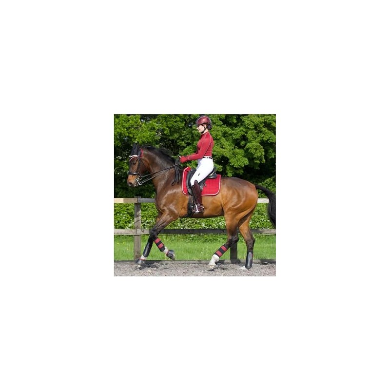 Woof Wear Close Contact Saddle Cloth - Shiraz