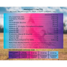 Pup Choice Multivitamin Treats for Dogs - PhD Endorsed 8 Essential Vitamins, Biotin, Probiotics, GLucosamin - Daily Wellness, Immunity, Skin & Coat, Mobility 140 Treats - Beef Flavor - Made in USA