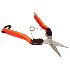 Cactus Shock Absorption 摘果 Scissors [Ideal for Tomatoes, Eggplant, Cucumbers] Blade Length 35 mm, and Tendonitis Protection Item No. AG – 7