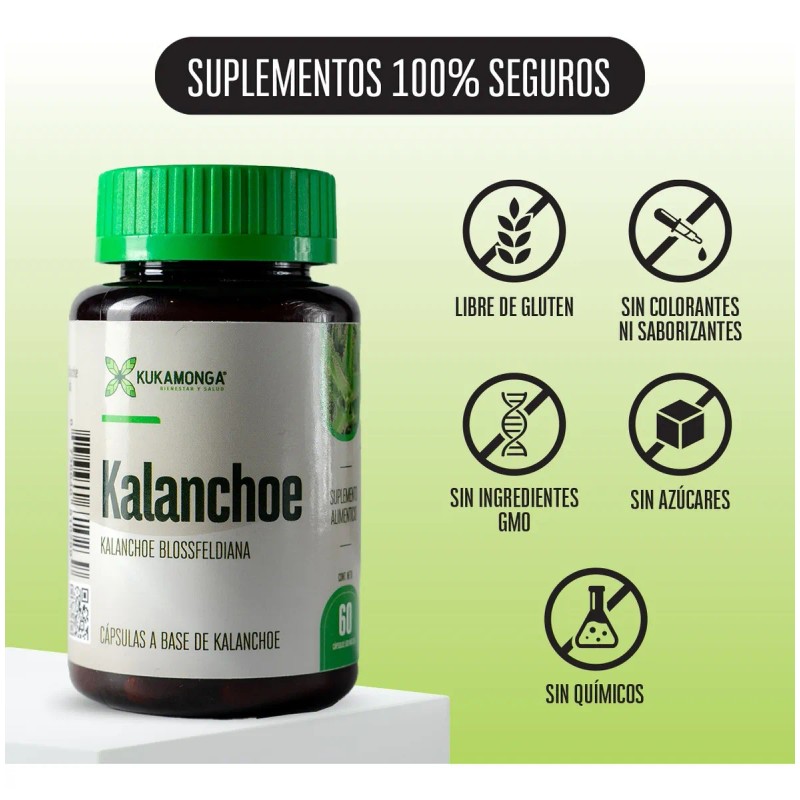 Castao De Indias Kalanchoe 60 Cps Bienestar De Piernas Sin