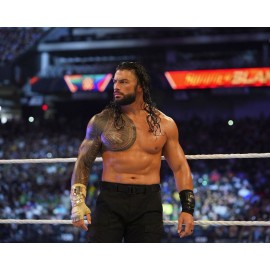 Champion 8x10 Photo ROMAN REIGNS WWE Wrestling WWF Champion