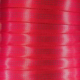 West Coast Paracord 1-Inch Tubular Nylon Webbing – Premium Heavy Duty Lightweight with Breaking Strength of 4000 Pounds – Outdoor All Purpose Straps for Climbing and Securing (Raspberry, 5 Yards)
