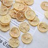 Dried Lemon Slices Bulk,Dehydrated Lemon Slices for Old Fashion Cocktail