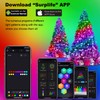 Horsetail Christmas Tree Lights Decorations with Ring Smart APP, 160LED