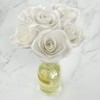 Penny & Rose White Rose Diffuser | Sunrise Dew Oil