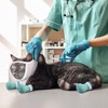 Hillban Cat Muzzle for Grooming with 4 Silicone Boots Breathable