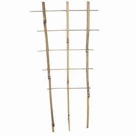 Siena Garden Bamboo Trellis 45 cm