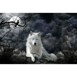 WACYDSD Jigsaw Puzzle 1000 Piece Crow and White Wolf Adult Puzzle Kids Puzzle Wooden Puzzle Toy DIY Kit Home Decor 75x50cm