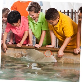 MERRYHAPY 1 Set DIY Shrimp Hatchery Net Fishing Nets Accessories for Safe Catching Release for Amano Shrimp Betta Fish Guppies Random Color