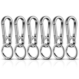 Flintronic 6 Packs Metal Keychain Carabiner, Carabiner Clip Keyring, Key Chain, Carabiner Keychain Clips for Outdoor, Quick Release Keyring, Unisex (Silver)