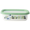Fuji Hollow Moomin Flower Garden Shallow Square Container S