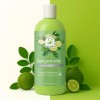 Shampoo Capilar De Bergamota Natural 1000 Ml