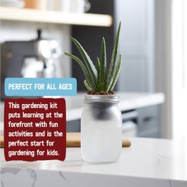 Back to the Roots Self Watering Grow Kit - Glass Hydroponic Planters for Succulents and Cacti Self-Watering System