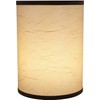 Aspen Creative 31270A Transitional Drum (Cylinder) Shaped Spider Construction Lamp