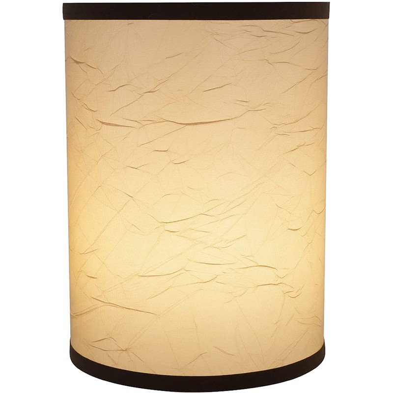 Aspen Creative 31270A Transitional Drum (Cylinder) Shaped Spider Construction Lamp