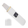 Skin Scrubber Spatula Ultrasonic Blackhead Comedones Removal Device Facial Scrubber