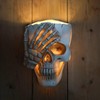 SeoatLink Skull Wall Planter, Hanging Skull Vase Unique Face Flower