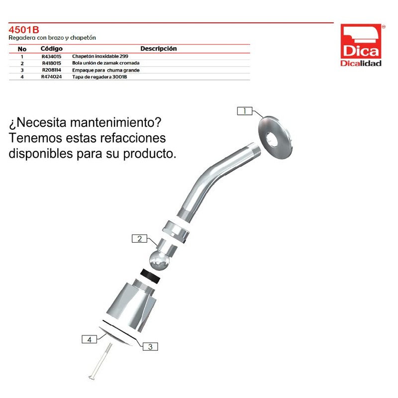 Dica 4501B Regadera con Brazo y Chapetón Clásica