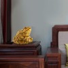 Feng Shui Money Frog Money Chinese Lucky Three Legged Wealth