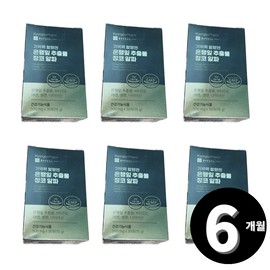 Living Factory H Partner Chong Kun Dang Holdings Ginkgo Leaf Extract Ginkgo 30 tablets, 6 units / 종근당홀딩스 은행잎 추출물 징코 30정, 6개