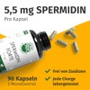 GREEN NATURALS Spermidin Forte 5,5 mg je Kapsel aus Weizenkeimextrakt