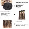 P4613 Bundles Highlight Curly Wave Human Hair Bundles Ombre Brown