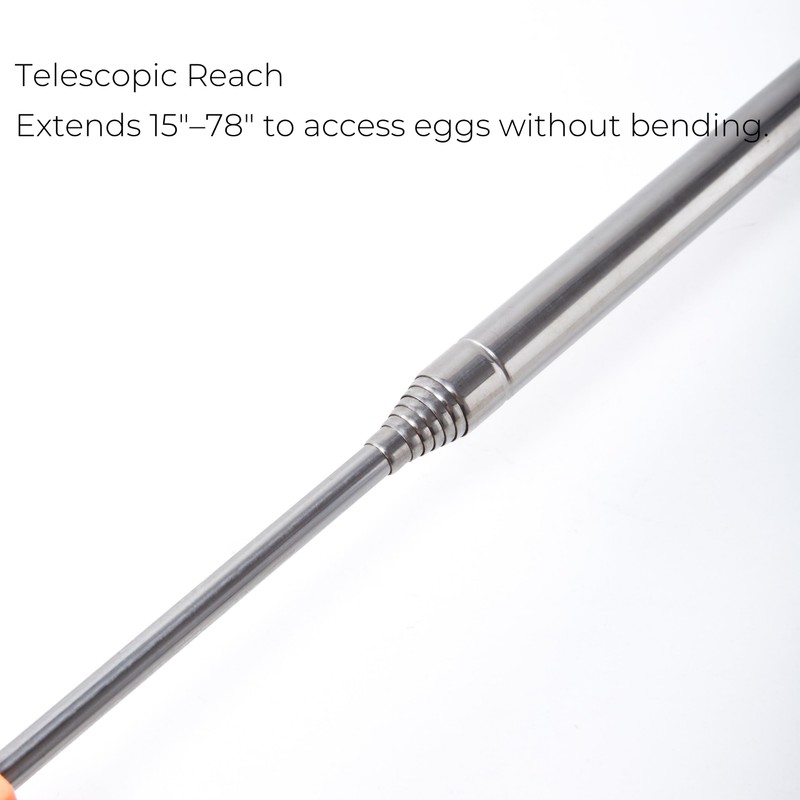 Egg Grabber for Chicken Eggs – Extendable Stainless Steel Egg