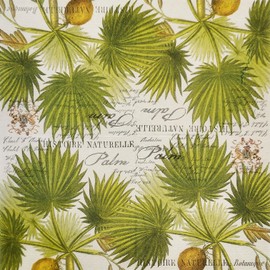 Colored Paper Cocktail Napkins, 20 Count Shabby Chic Napkins for Wedding, Dinner Tea Party Shower, Palm