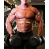 Protan Overnight Competition Color Pintura Para Competencia Protan Competetition Color