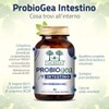 ProbioGea Intestino Salugea - 60 capsule - Probiotico per l’intestino