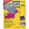 AVERY Removable Neon Labels, 2" x 4", Assorted Neon, Rectangle,