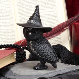 Nemesis Now Cult Cuties Owlocen Figurine 13.5cm, Resin, Black, Small Owlocen Owl Figurine, Scarily Adorable Bewitching Owl Figurine, Witch Owl Figurine, Cast in the Finest Resin, Expertly Hand-Painted