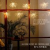 LED Firework String Lights 8 Mode Explosion Star Copper Wire